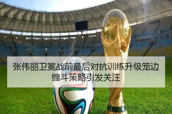 张伟丽卫冕战前最后对抗训练升级笼边缠斗策略引发关注