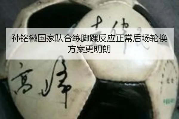 孙铭徽国家队合练脚踝反应正常后场轮换方案更明朗