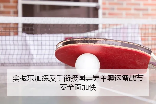 樊振东加练反手衔接国乒男单奥运备战节奏全面加快