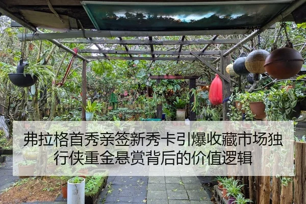 弗拉格首秀亲签新秀卡引爆收藏市场独行侠重金悬赏背后的价值逻辑